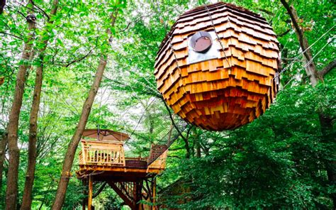 Cabane insolite dans la forêt près de Durbuy